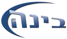 בינה בינה