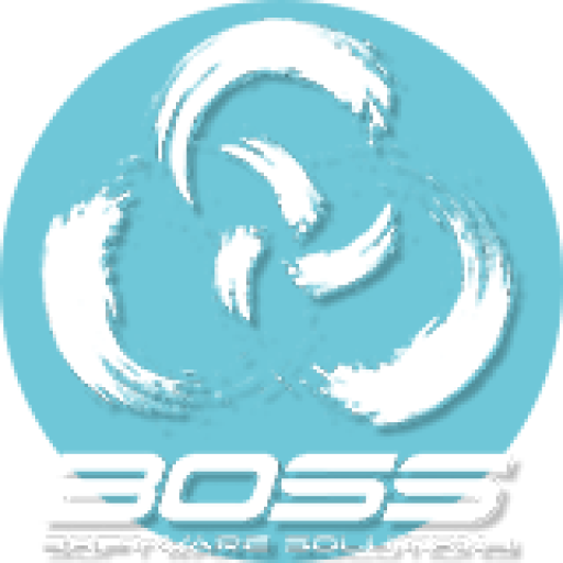 BOSS BOSS